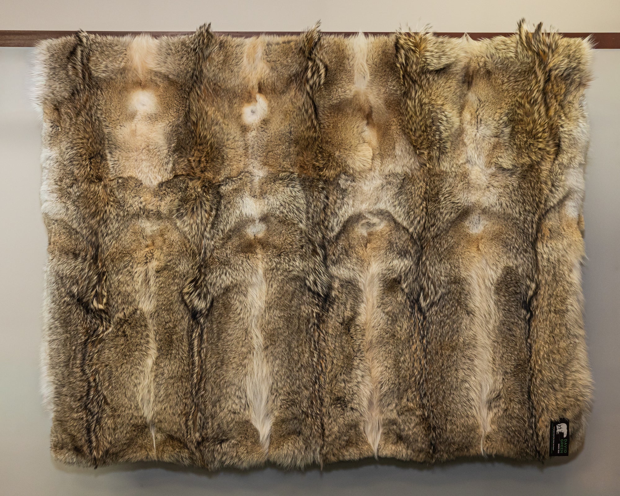 Natural Coyote Blanket